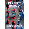 Perfect Enemy - Paperback
