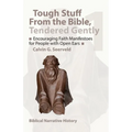 Encouraging Faith Manifestoes for People with Open Ears: Biblical Narrative History - Paperback