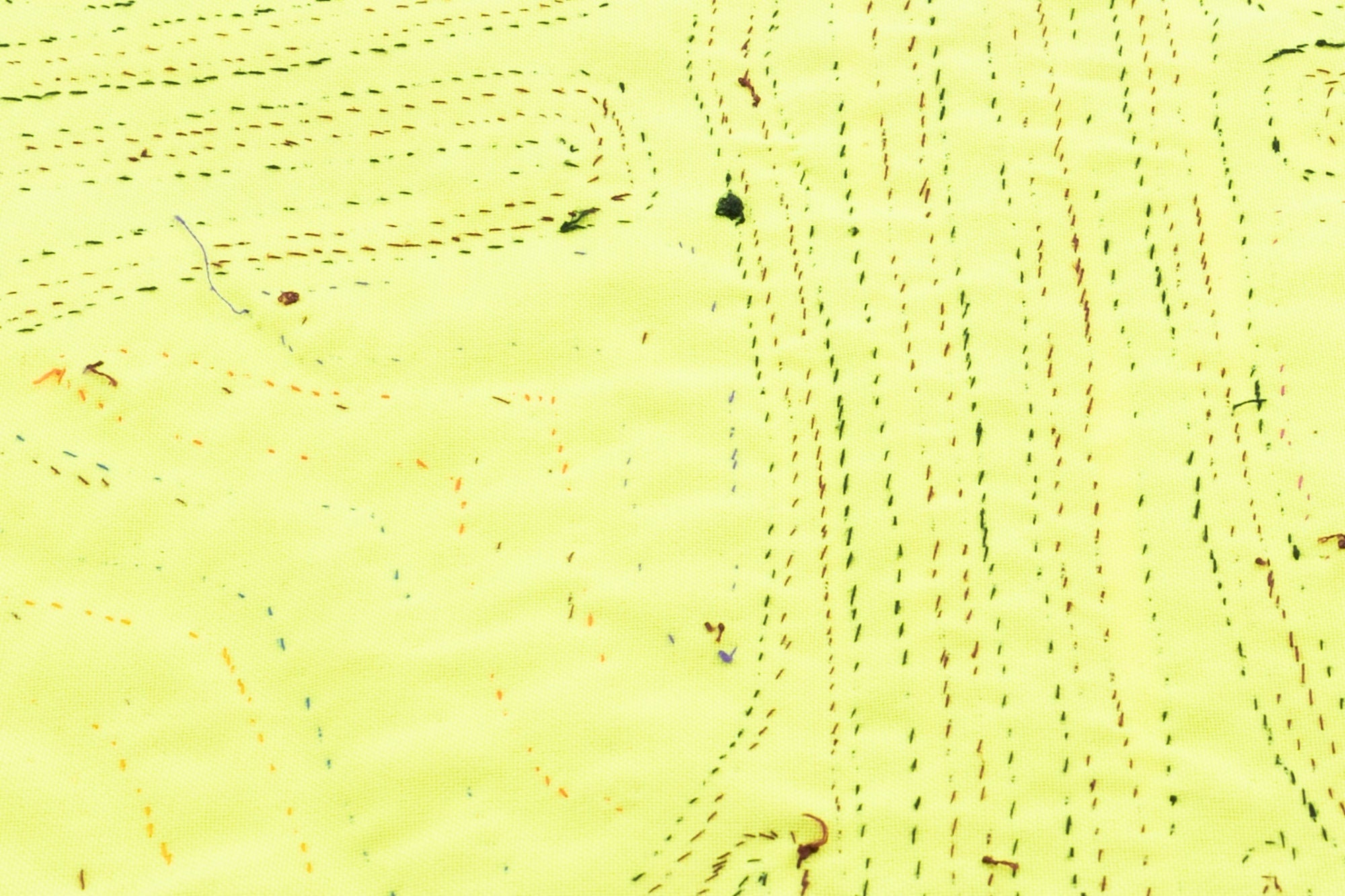 Hand Stitch Palm Frond Bird Panama Mola Textile