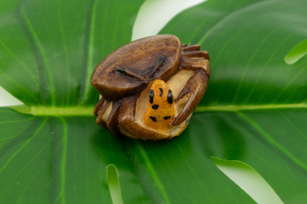 Vintage Crab Golden Frog Tagua Nut