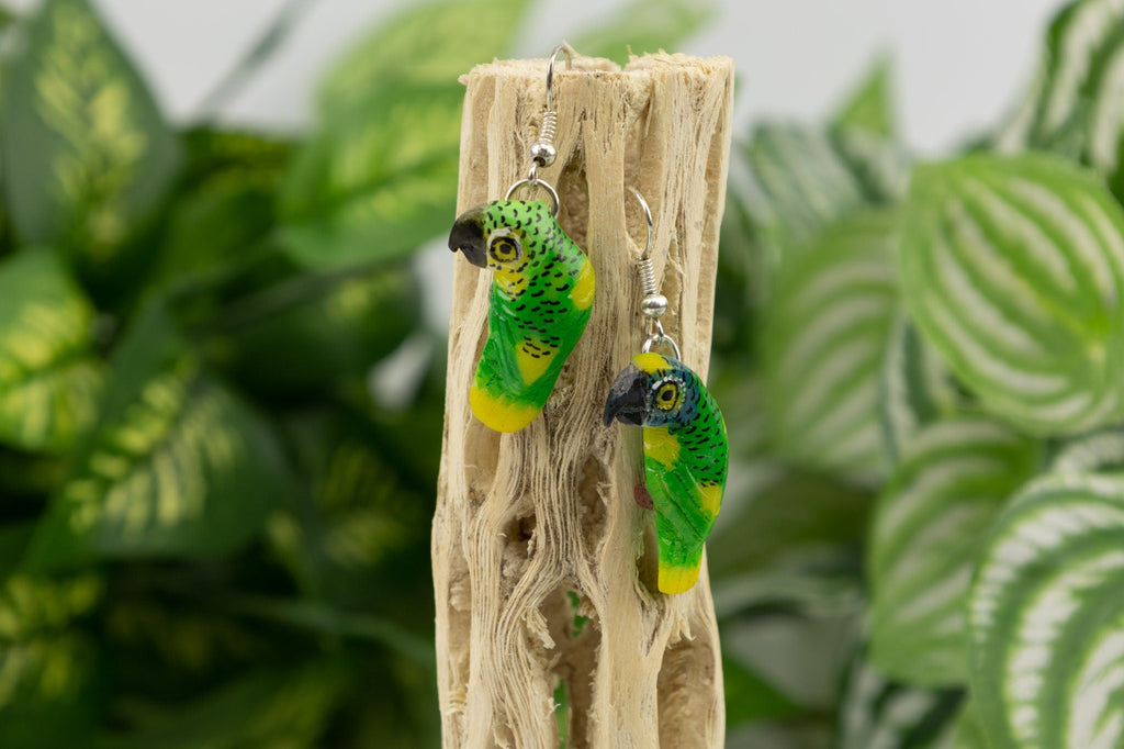 Parrot Tagua Earrings