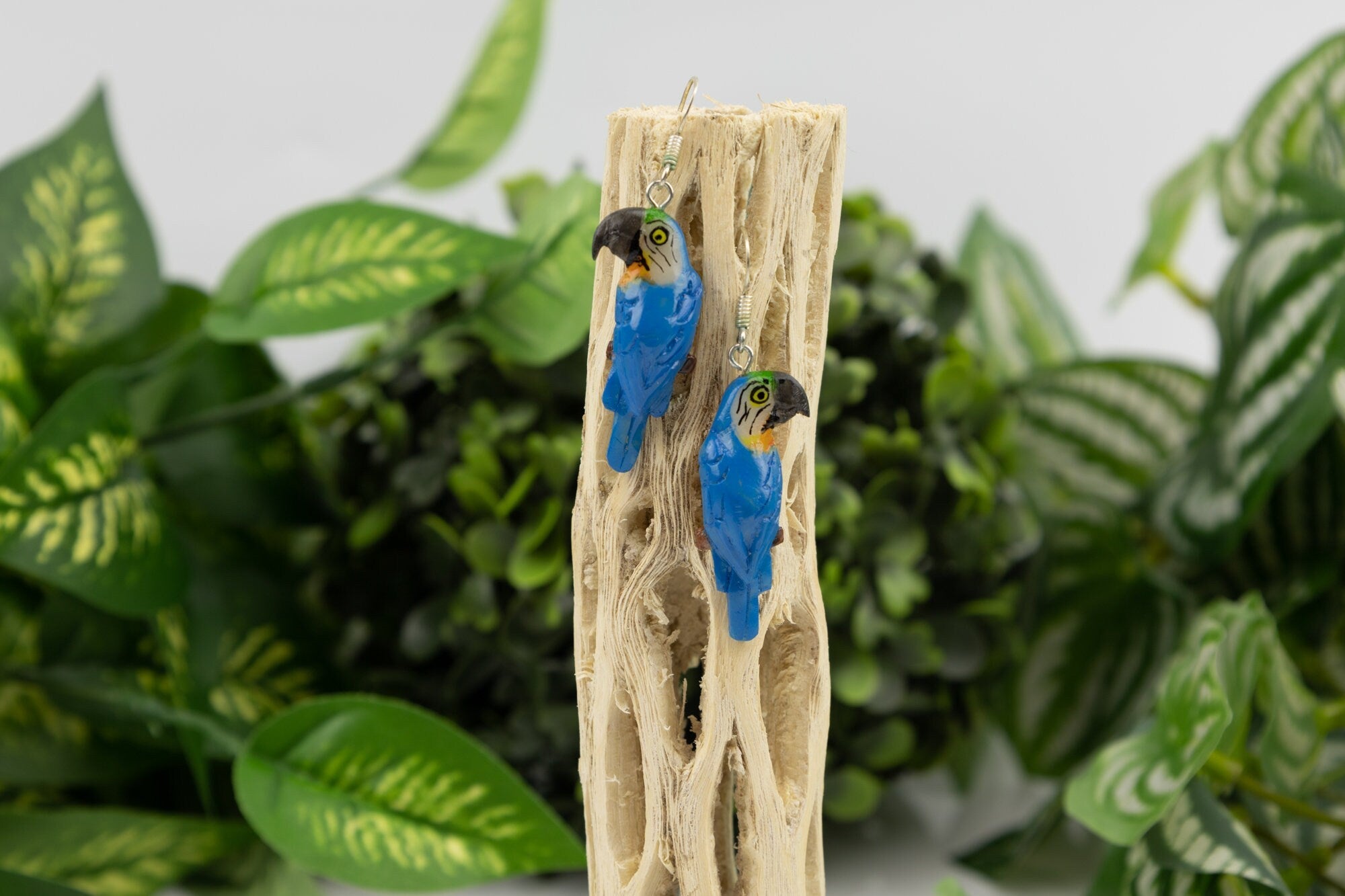 Macaw Parrot Tagua Earrings