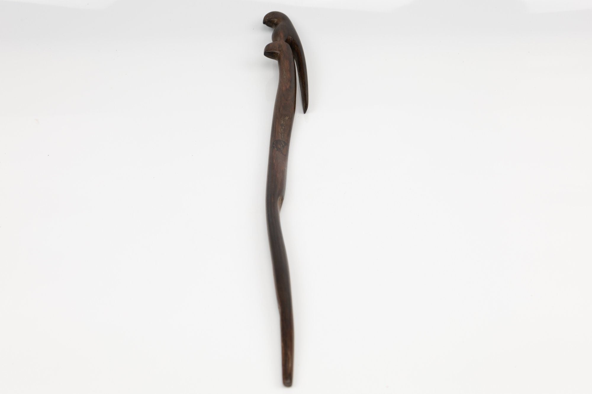 Power Parrot Hand Carved Cocobolo Wood Sculpture