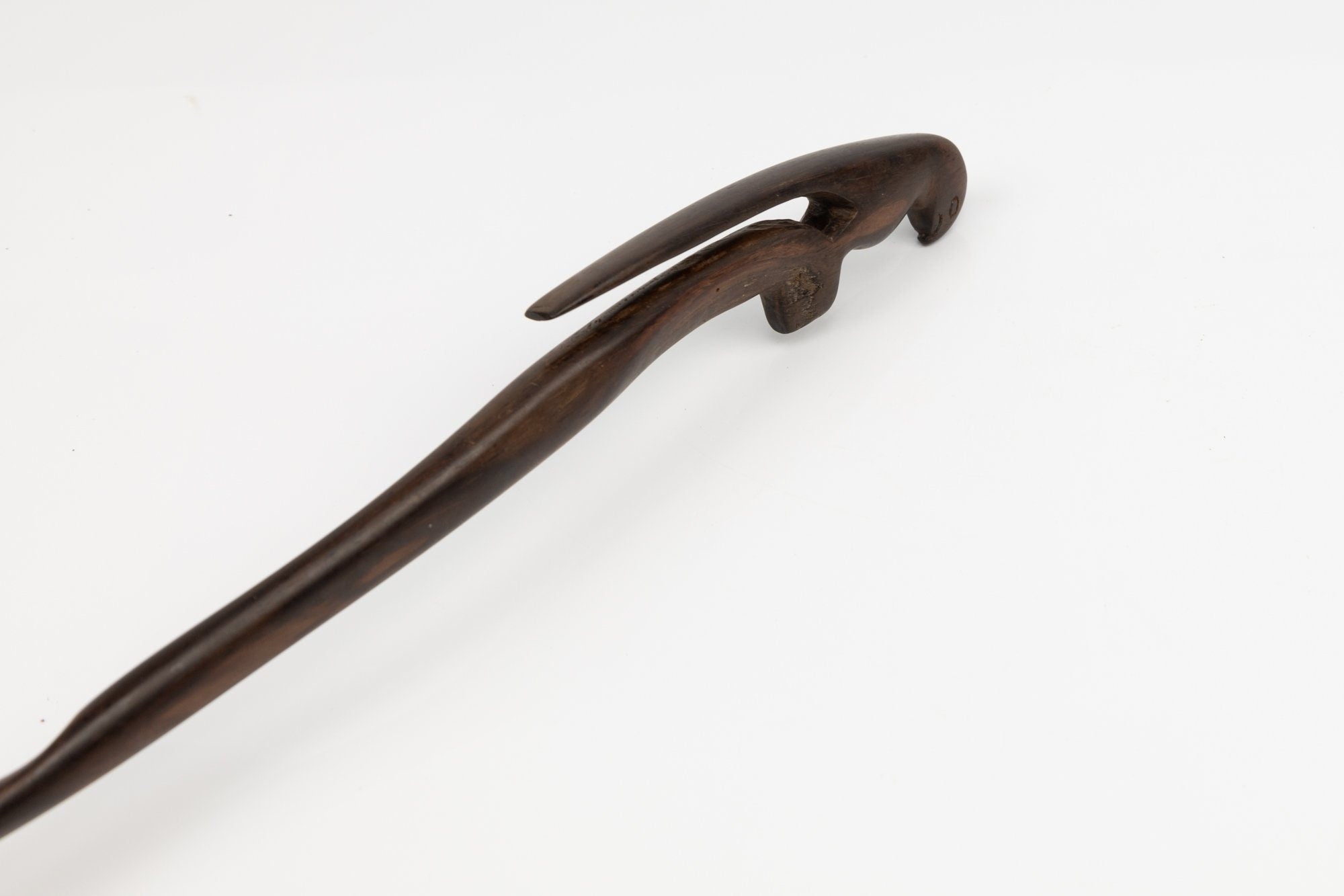 Power Parrot Hand Carved Cocobolo Wood Sculpture