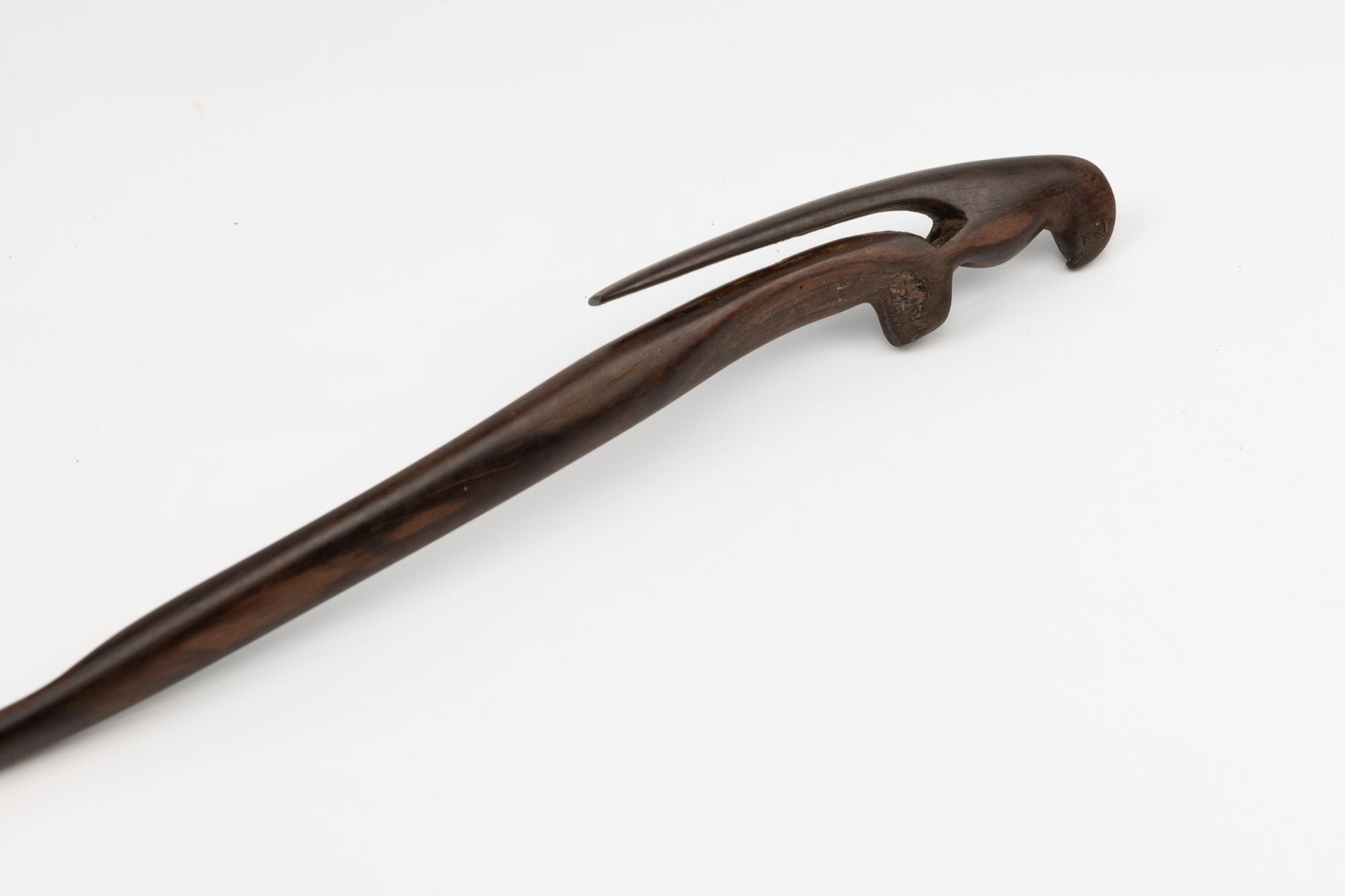 Power Parrot Hand Carved Cocobolo Wood Sculpture