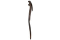 Power Parrot Hand Carved Cocobolo Wood Sculpture