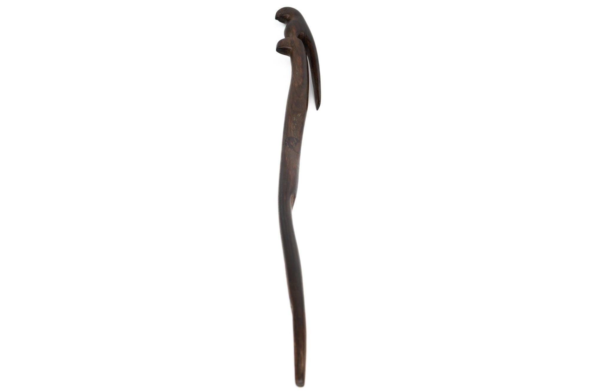 Power Parrot Hand Carved Cocobolo Wood Sculpture