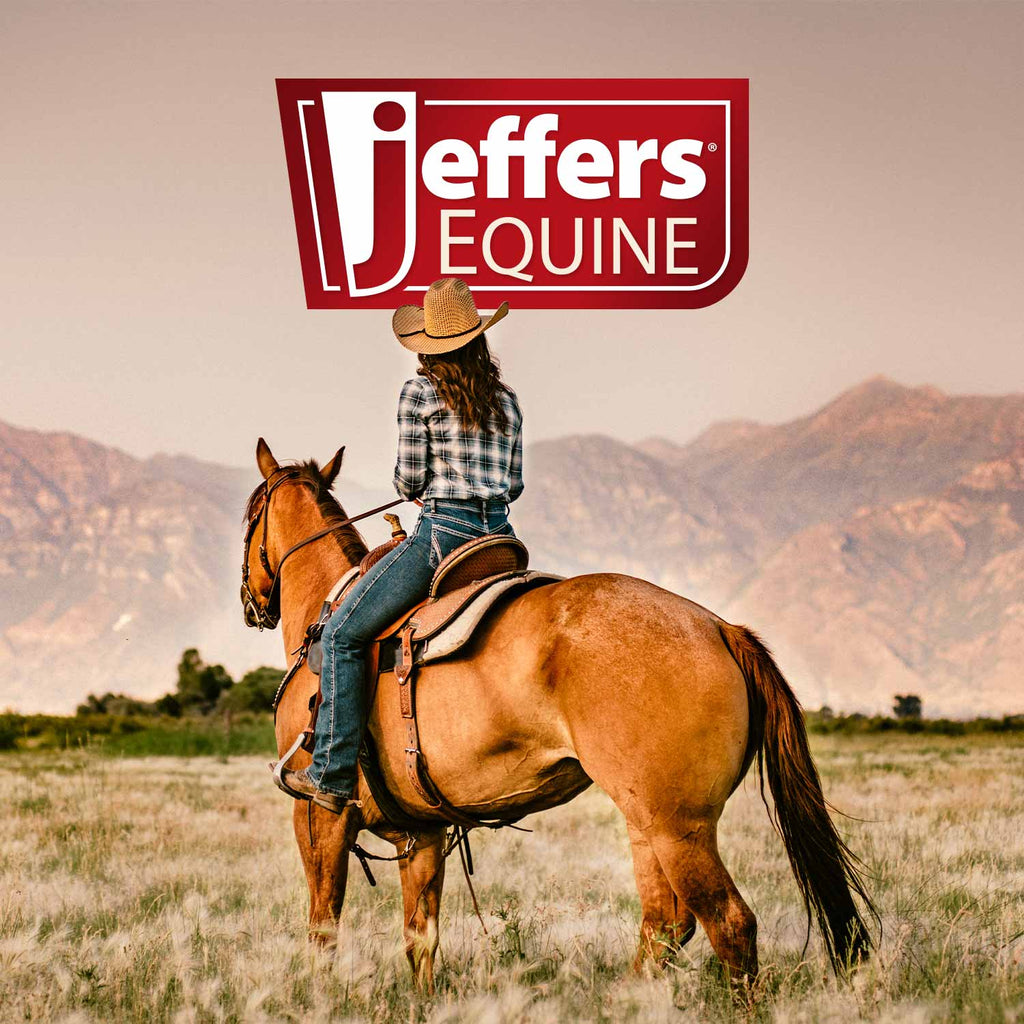 Jeffers Equine Black Coat Intensifying Horse Shampoo for Black & Bay Coats
