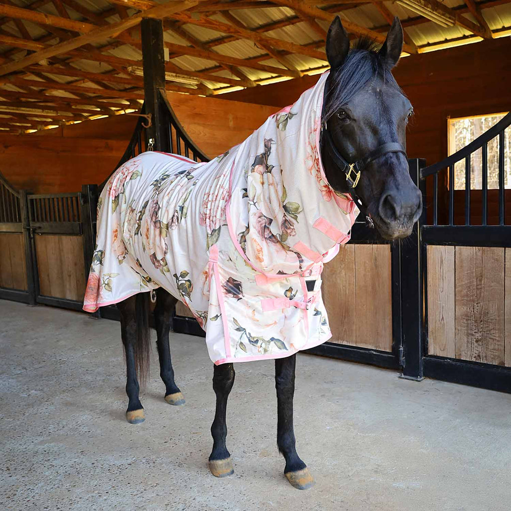 Pre-Sale Jeffers Expression Softmesh Combo Neck Horse Fly Sheet
