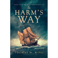 In Harm's Way: Book One of The Sea Hawkes Chronicles - Paperback